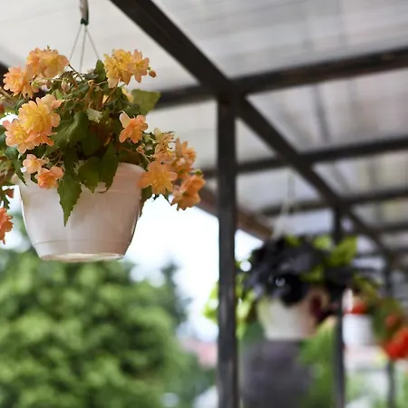 Rajna Villabridge&spa Apartmanhotel Bogács